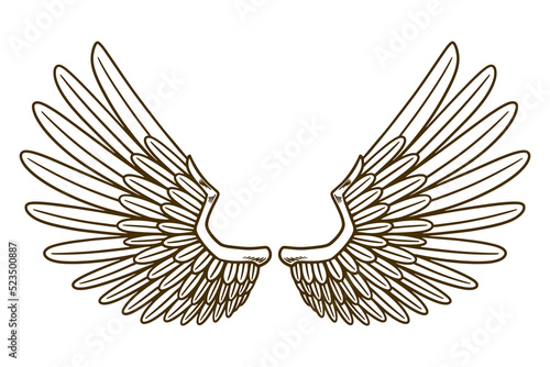 eagle wing vector illustration