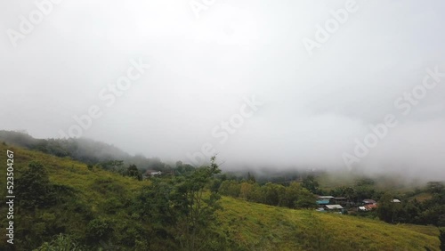 motion time lapse various layers of trees and plants on a mountain side in the midst of fog.The fertile forest was shrouded in mist.