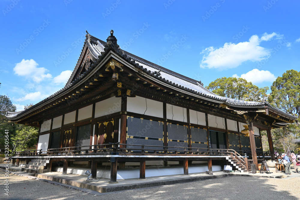 春の京都市の世界文化遺産仁和寺の国宝金堂