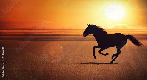 Photo silhouette of the black horse galloping alone on the beach by the sea under the