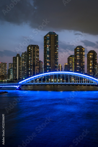 東京の風景：永代橋の夜景０１ © onotorono