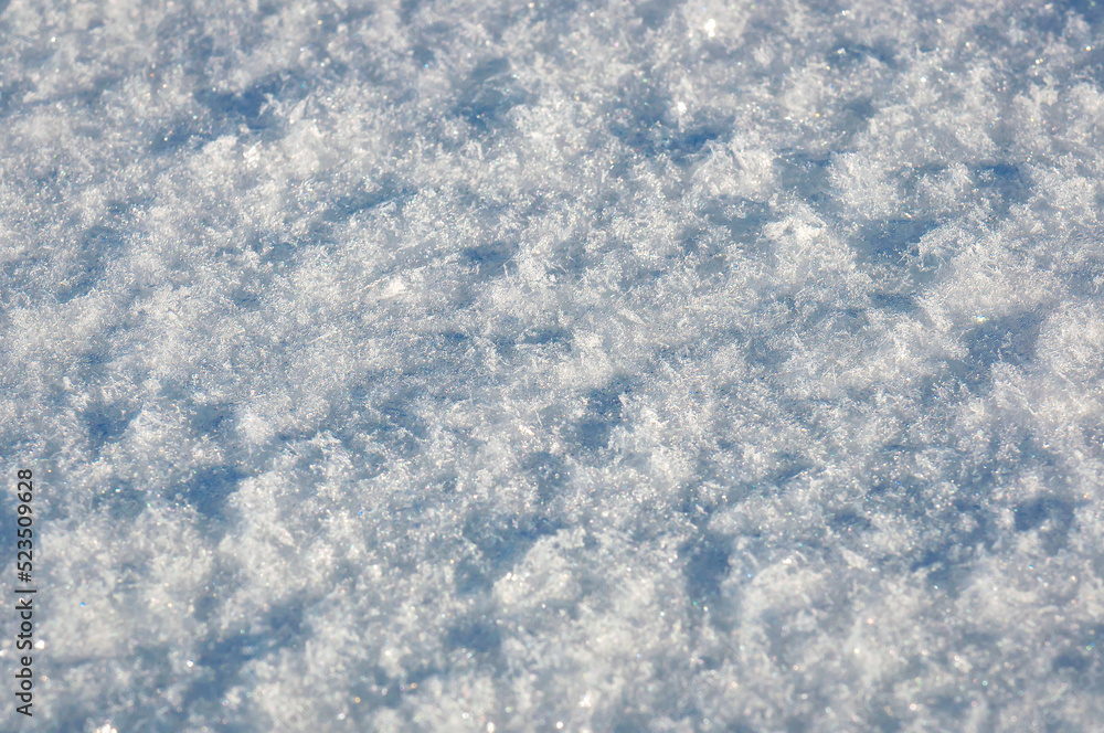 Fresh snow background as texture