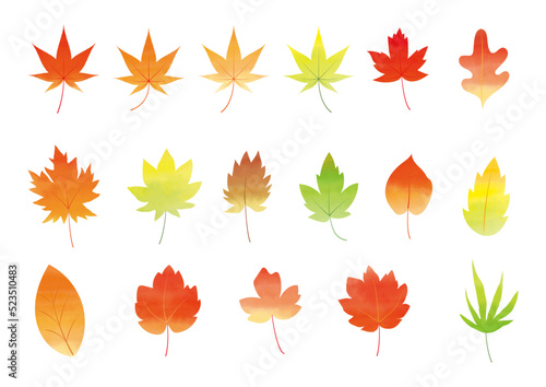 秋の紅葉した木の葉のイラスト素材