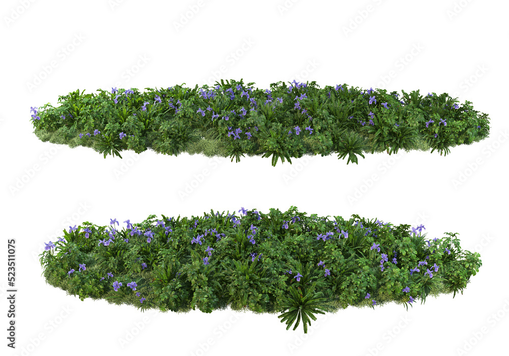 Shrubs and flower on a transparent background
