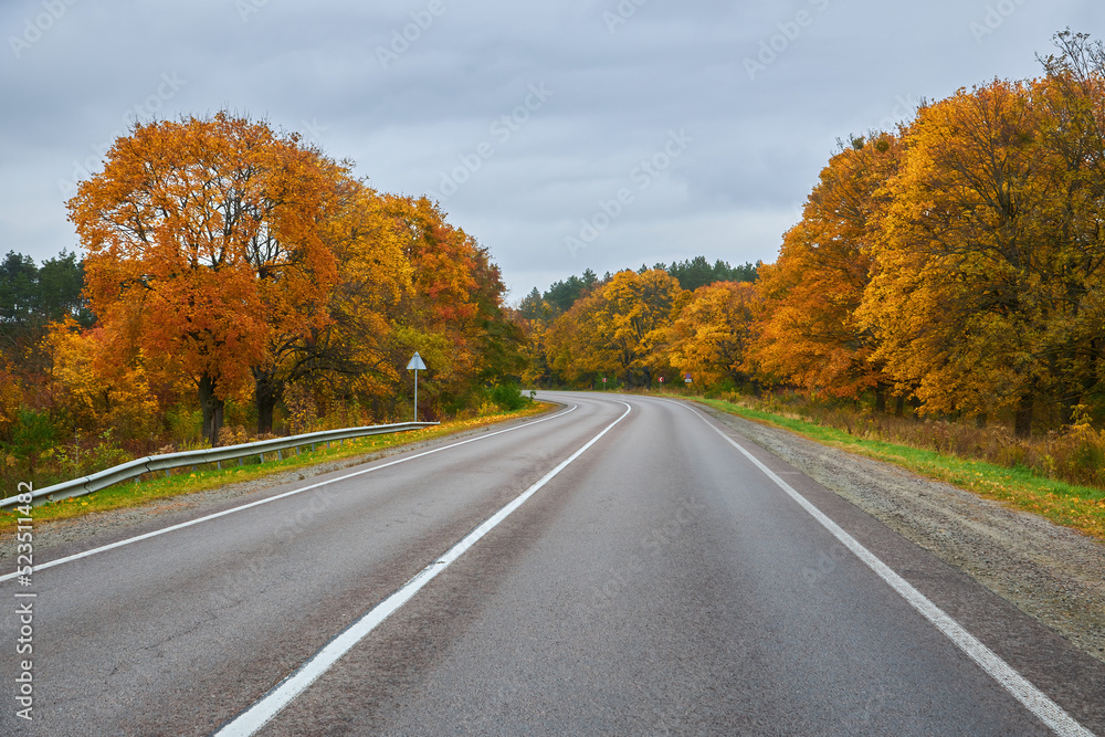 Fototapeta premium Asphalt road with fallen leaves inl autumn forest.