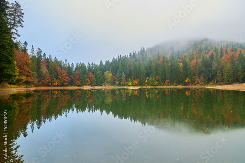 landscape at the mountain lake Synevyr in autumn. Beautiful nature scenery in the morning. Synevyr national park, Ukraine