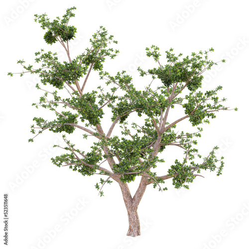 Fantastic tree isolated. 3d render