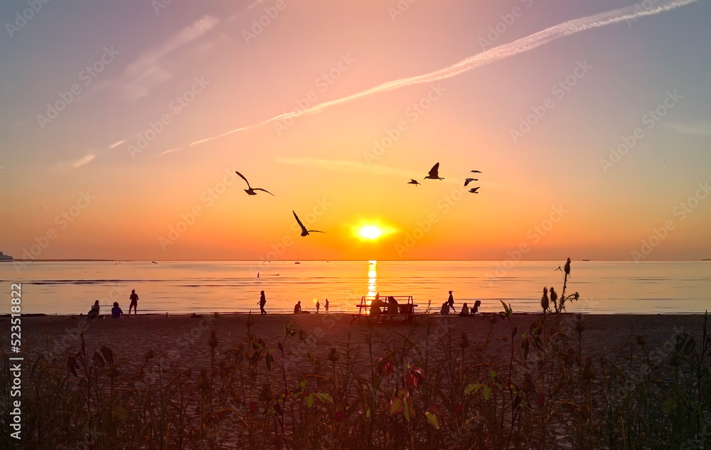    orange sunset air ball  on sky at sea seagull on sky people relax on beach summer background