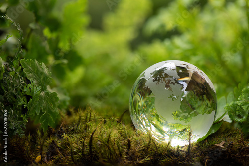 Close up of crystal globe resting on moss trees.