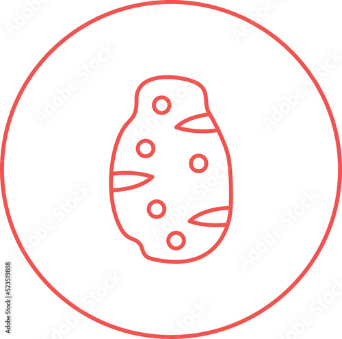 Potato Icon