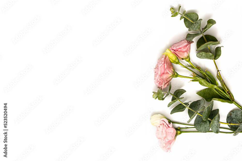  flowers on white background