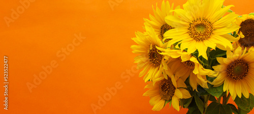 A large bouquet of sunflowers, yellow flowers on an orange background. blank for a postcard, a place for text