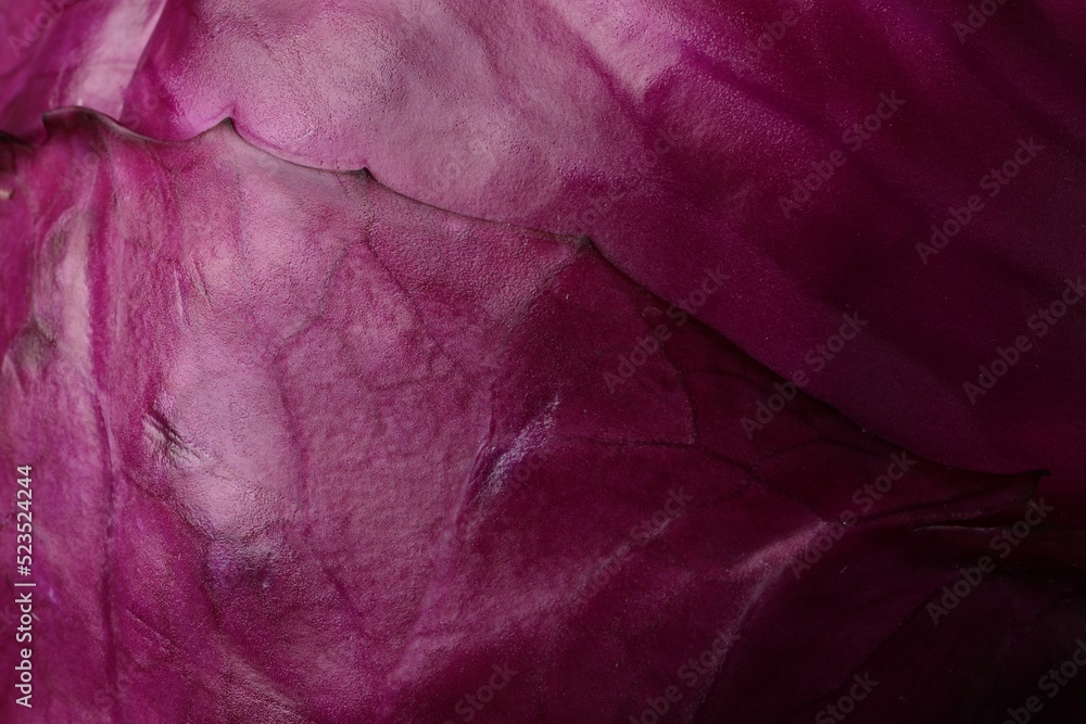 Fototapeta premium Fresh ripe red cabbage as background, closeup