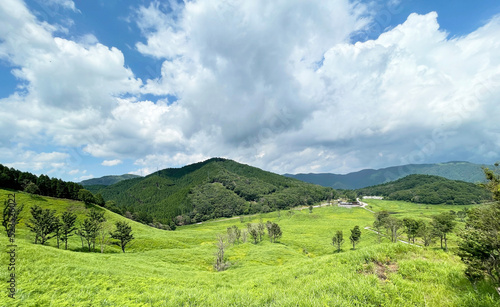 真っ青な空と草原と山 砥峰高原