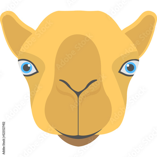 Llama 