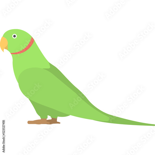 Green Parrot 