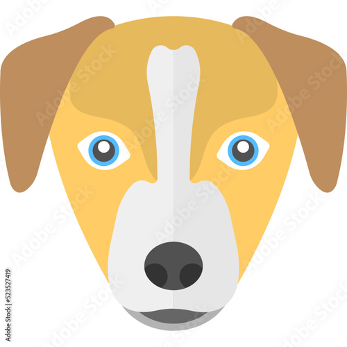 Puppy 