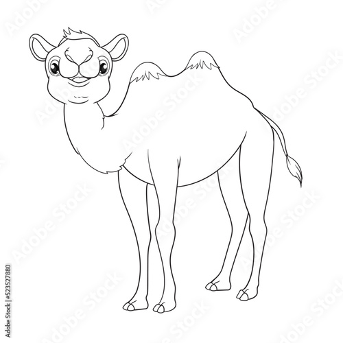 coloring pages or books for kids. cute camel cartoon. black and white