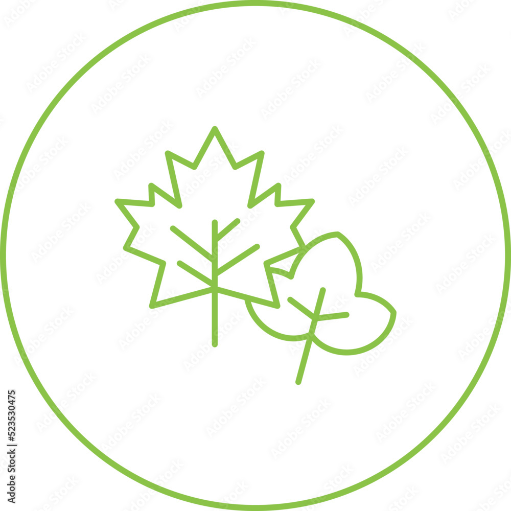 Leaf Icon