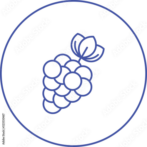 Berries Icon