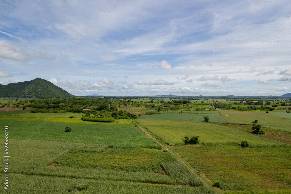 Fototapeta premium high angle view of farm, grow plants, nice landscape
