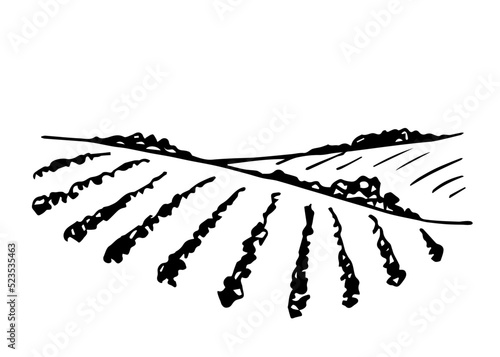 Simple hand drawn vector sketch in ink. Farm fields, vineyard. Rows of grape bushes, hills. Growing organic products, vegetables. Food and drink labels.