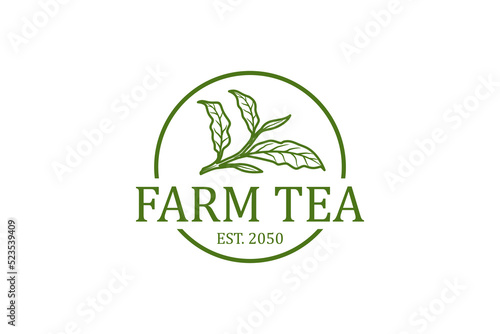 Tea leaves shoot bud logo design illustration drink plantation herbal environment fresh plant