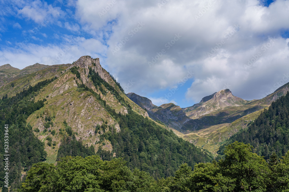 Natural landscapes of the lake, forest and mountains in the French Pyrenees
