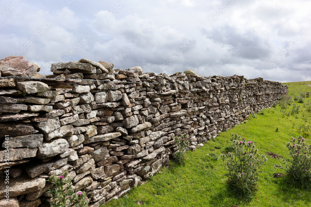 Yorkshire Dry Stone wall 