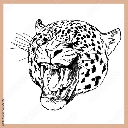 Hand drawn sketch style leopard isolated on white background. Vector illustration.