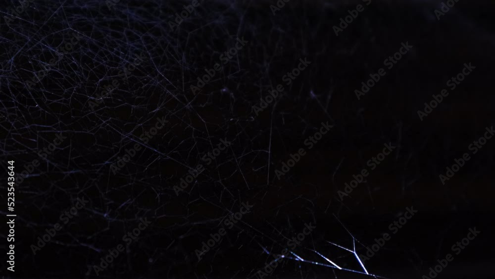 Blue light on spider web art video backgrounds Blue light on spider web art video backgrounds