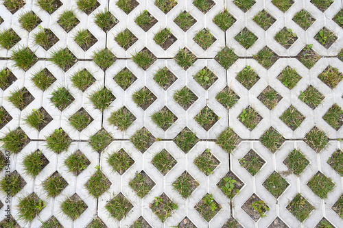 Geometric concrete of parking whith green grass.Paving stones for grass. Tiles made of concrete in the form of rhombus