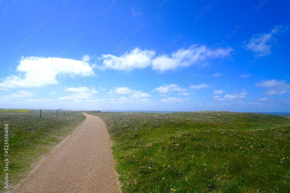 hiking trail above the cliffs at the well-known Bovbjerg Fyr lighthouse in Jutland with direction to the Trans Kirke church at the horizon, Denmark in summer, travel, holiday, activity