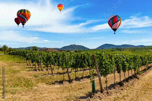 Hot air balloons in the sky over vineyards in the Wachau valley.