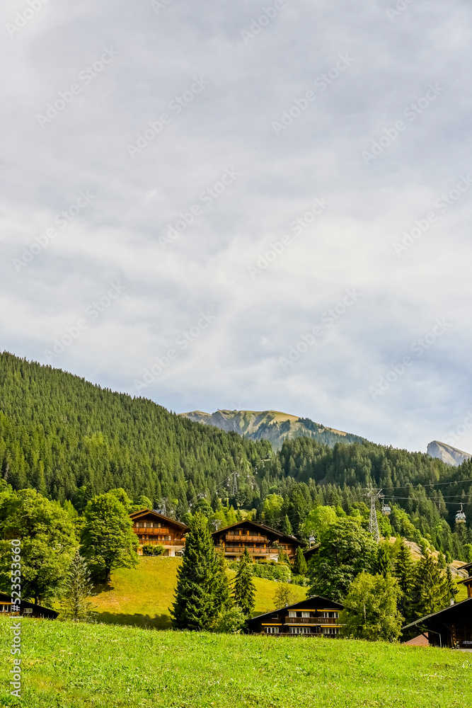 Grindelwald, First, Berner Oberland, Bergstation, Bergbahn, Aussichtspunkt, Wanderweg, Waldspitz