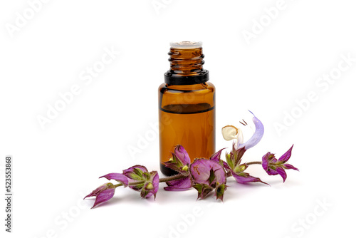 A bottle of essential oil with fresh blooming clary sage twigs on white background.