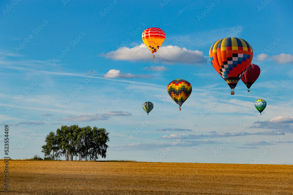 Naklejka premium Multicolored hot air balloons fly in blue sky with white clouds over green field.