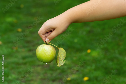 The boy's hand holds a fresh green apple on a green background.