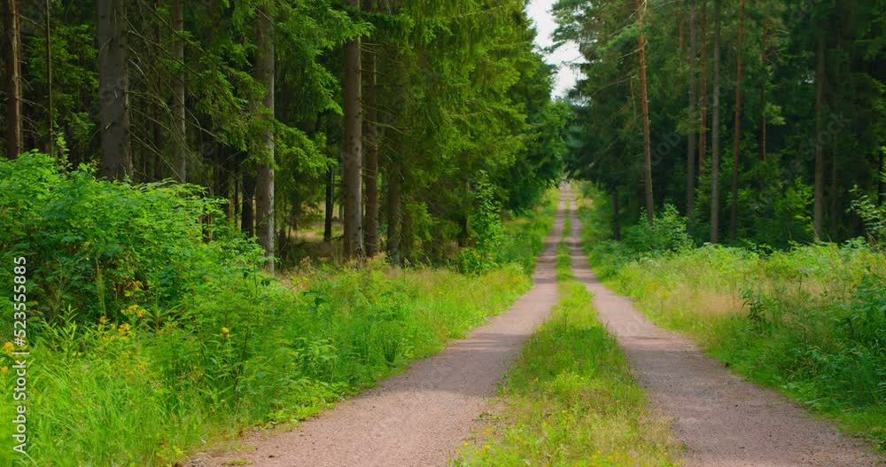 Dirt road on a sunny summer day in the middle of the forest. Close up of trail among pine trees. Gemnany. Guide lines. Go everywhere. Time to travel, ready to explore again. Dirt road on a sunny summer day in the middle of the forest. Close up of trail among pine trees. Gemnany. Guide lines. Go everywhere. Time to travel, ready to explore again.