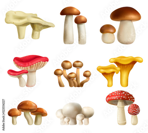 Mushrooms Realistic Set