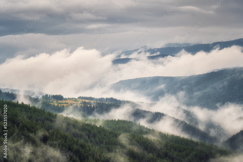 Amazing aerial view of beautiful low clouds creeping on the tree-covered mountain slopes, the Rhodopes in Bulgaria.