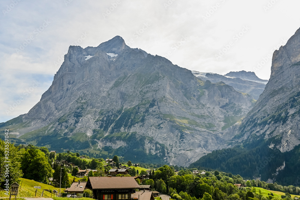 Obraz premium Grindelwald, Wetterhorn, Grosse Scheidegg, Oberer Gletscher, Schreckhorn, Alpen, Berner Oberland, Wanderweg, Bergdorf, Bergwiese, Bergblumen, Bergbahn, Sommer, Schweiz