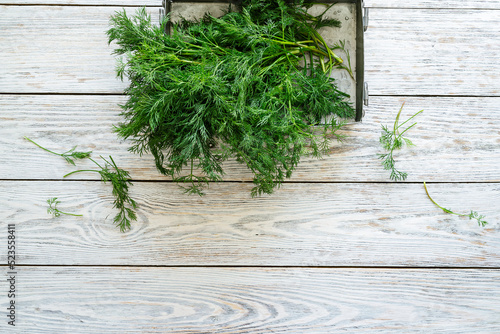 Herbs, organic dill in rural tray. Natural food ingredients