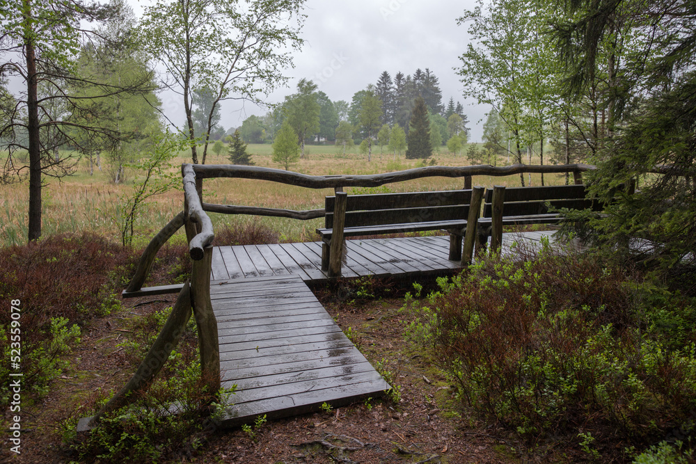 Fototapeta premium wet pavement with a bench and railing by a bog on a rainy day