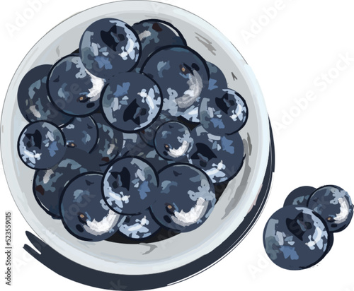 Blueberry watercolor vector fresh fruits on white plate. top view