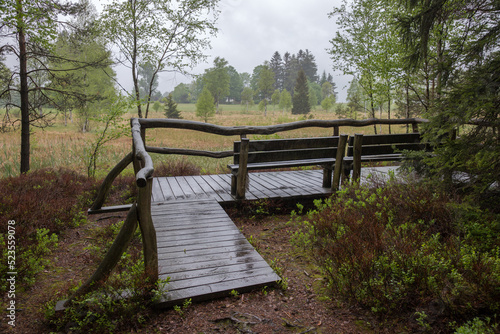 wet pavement with a bench and railing by a bog on a rainy day