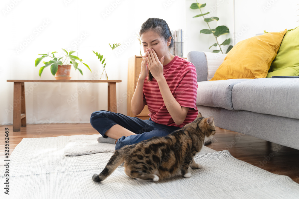 Diseases from pets concept. Woman is sneezing from fur allergy on the sofa and playing with her cat. Diseases from pets concept. Woman is sneezing from fur allergy on the sofa and playing with her cat.