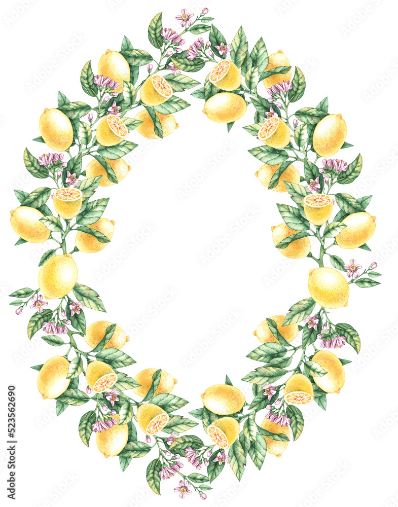 Obraz premium Watercolor frame of lemons on a white background