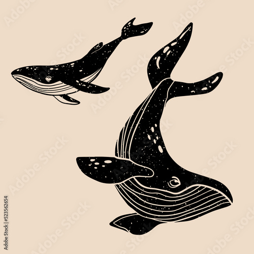 Whale. Colorful cute screen printing effect.  Vector illustration. Graphic element  for fabric, textile, clothing, wrapping paper, wallpaper, poster. 