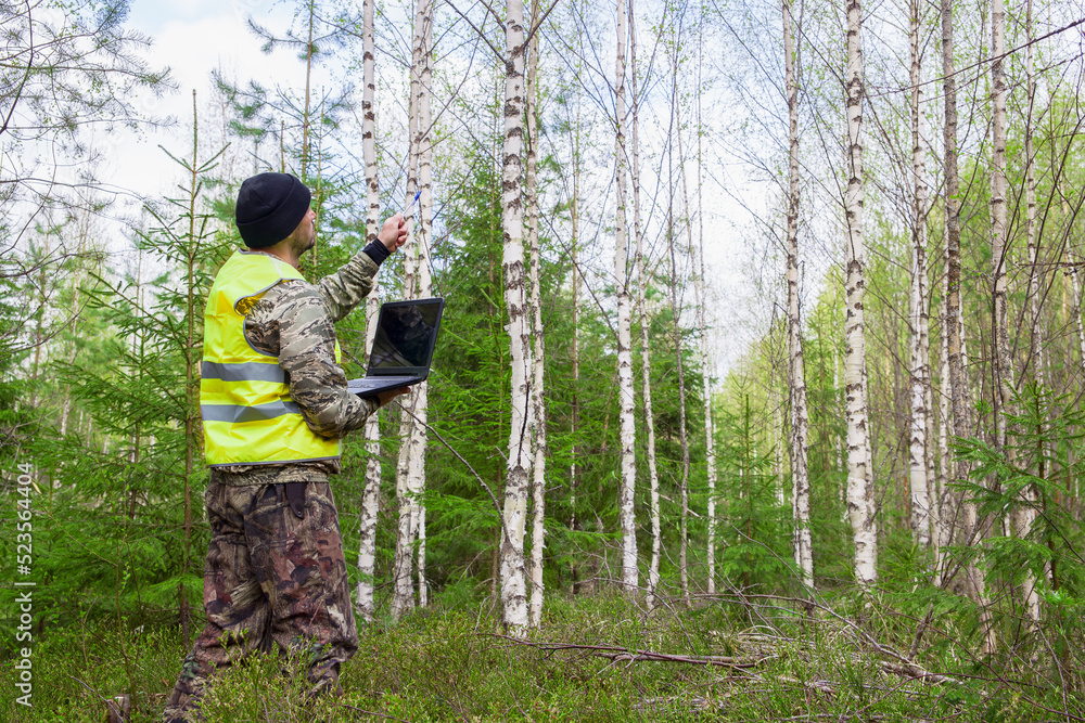 Forest engineer works in the forest with a computer.